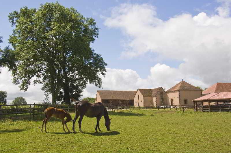 Chateau D'Ygrande - Teritoria Exterior photo